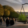 Understanding the Debate on Decriminalization vs. Legalization in the Context of the Moratorium 2012