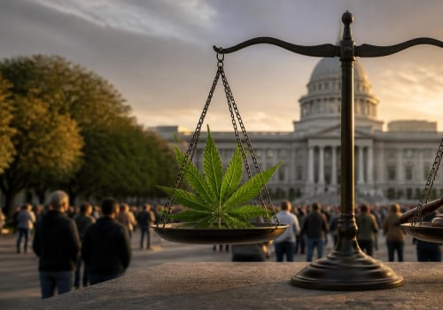 Understanding the Debate on Decriminalization vs. Legalization in the Context of the Moratorium 2012